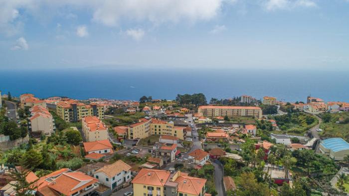 flowers island house 4