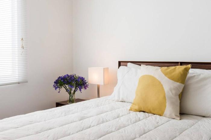 Condesa Residence Campeche 10 Amazing 2 Bedroom 1 Bathroom Oasis with Ample Room