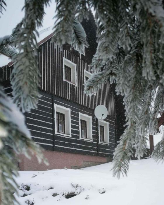 Holiday home in Jestrabi v Krkonosich 2207