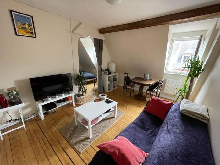 Joli 2 pièces - Krutenau Austerlitz