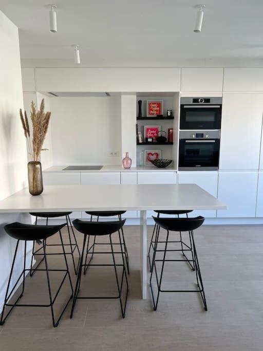 Beautiful Sunny Penthouse (near Place Albert)