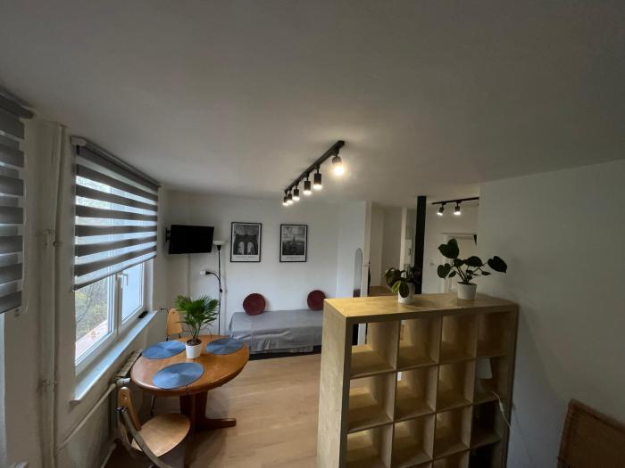 Murano Apartaments Promenada studio