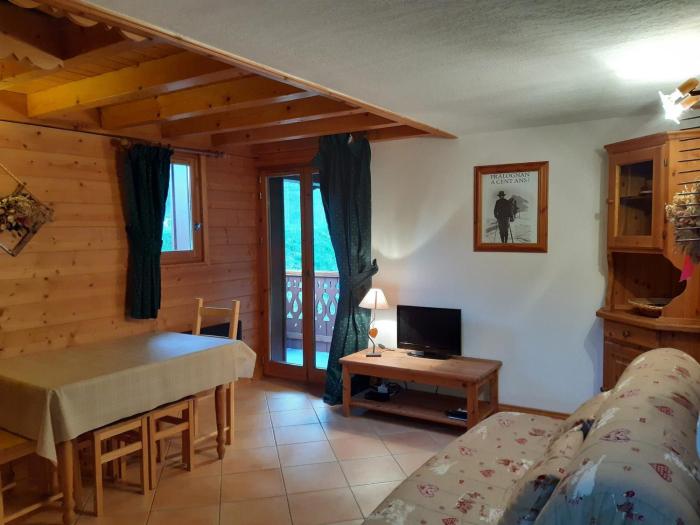 Agréable T2 Montagne Pralognan 4pers - FR-1-464-4