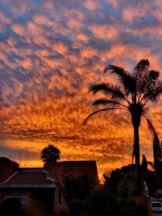 Blue Oasis Apartments