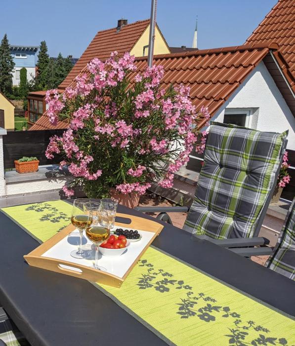 Hortensie Speyer