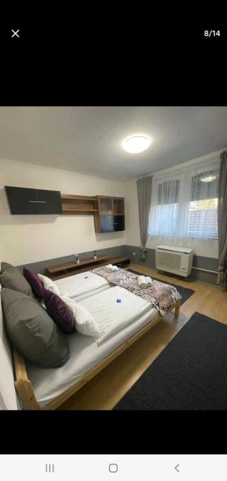 Barbarosa Sweet Dream 2