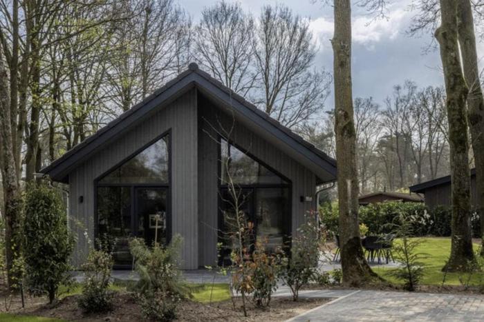Eco Villa near Forest in Netherlands