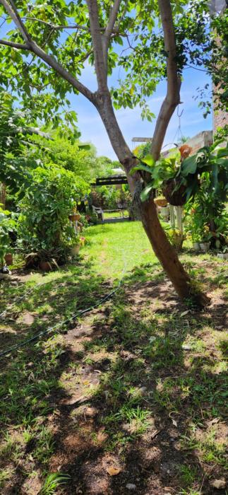 Casa amplia con zonas verdes y cerca a la Basílica