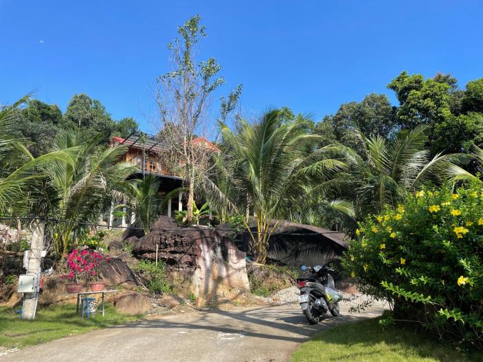 Ong Vinh House - Living Among Nature !