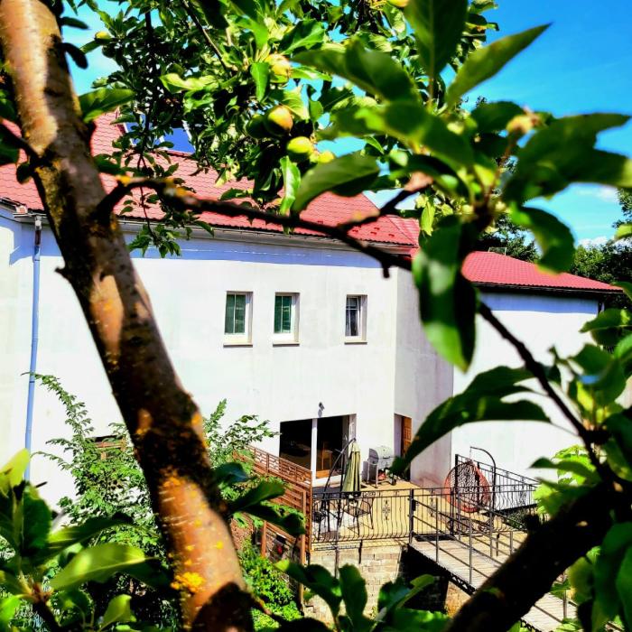 Dom nad potokiem Opawa, na wyłączność, Karpacz, Opawa