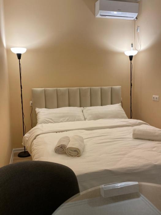 Likas apartment on Mtatsminda