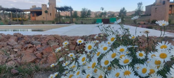 Pequeña Polonia-Lodge & Cabañas