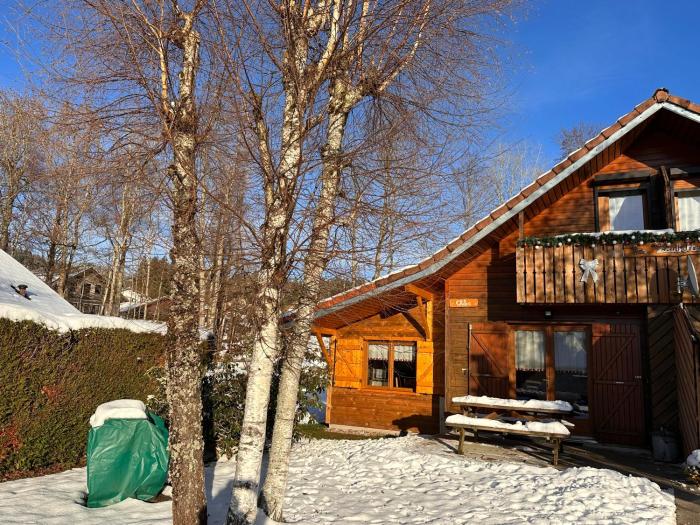 Chalet CHLOE - wifi, BBQ, parking