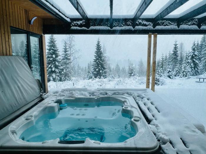 Cabana Merlin - Statiunea Muntele Baisorii