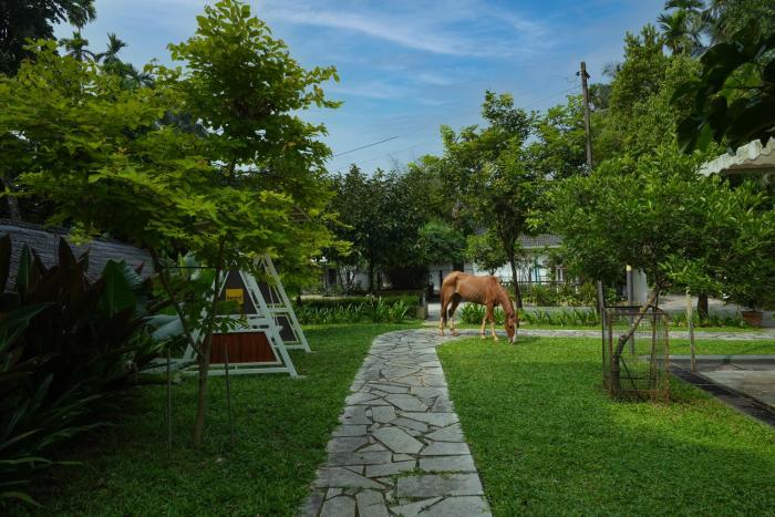 Royad Calicut Farm House - Premium Villa with Pool Inside a Farm