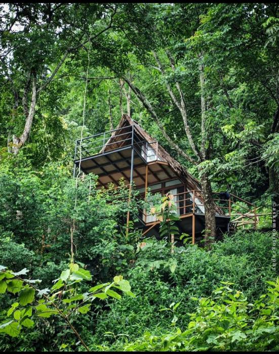 Sunset Valley Kerala Pool Resort - Monsoon Forest Cottage Stay in Idukki with Private Waterfalls, Natural Streams & Breathtaking Views