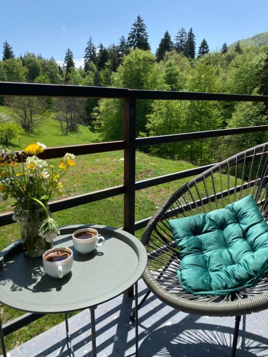 Duplex apartment near the forest