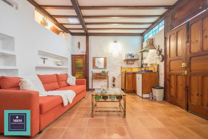 Strelitzia Estudio Agaete