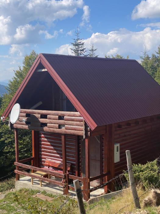 Mountin cottage Hajdi