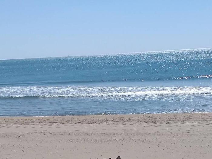 Appartement 2 pièces accès direct plage, animaux acceptés, parking - FR-1-387-193