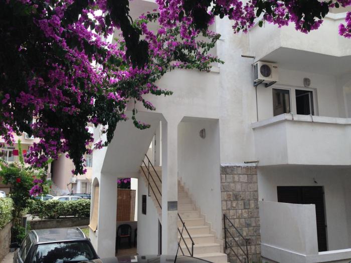 Guest House Violet