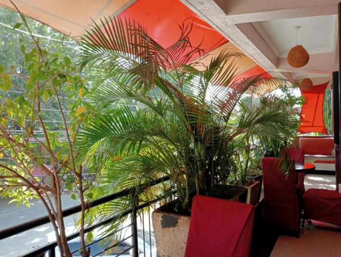 Hotel Manas Mtwapa Mombasa