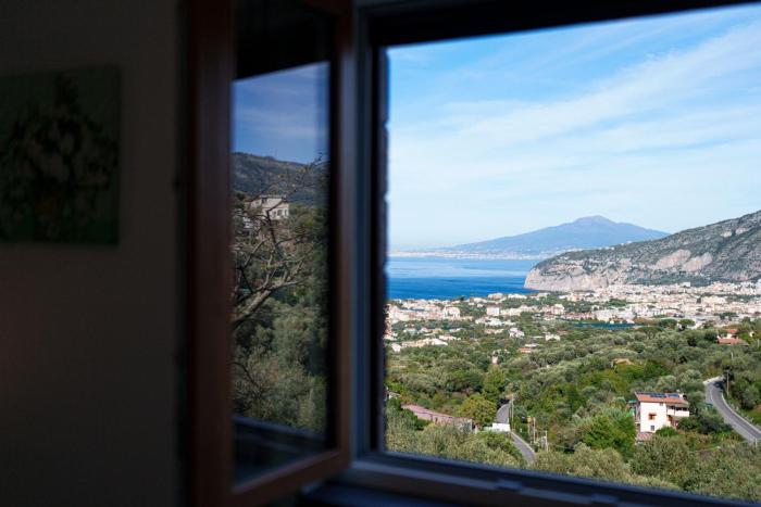 Holidays Homes The dream