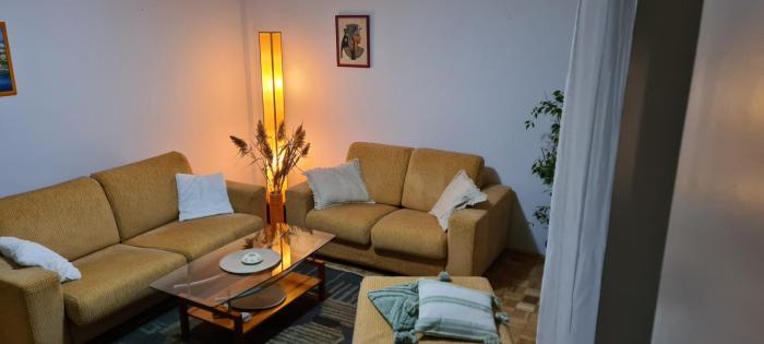 Grey apartment Novi Beograd
