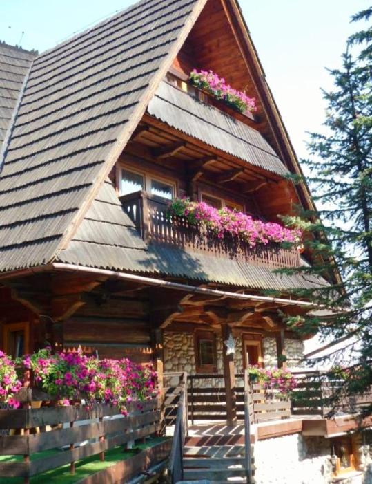 Bukovina Concept obok stoku i basenów termalnych