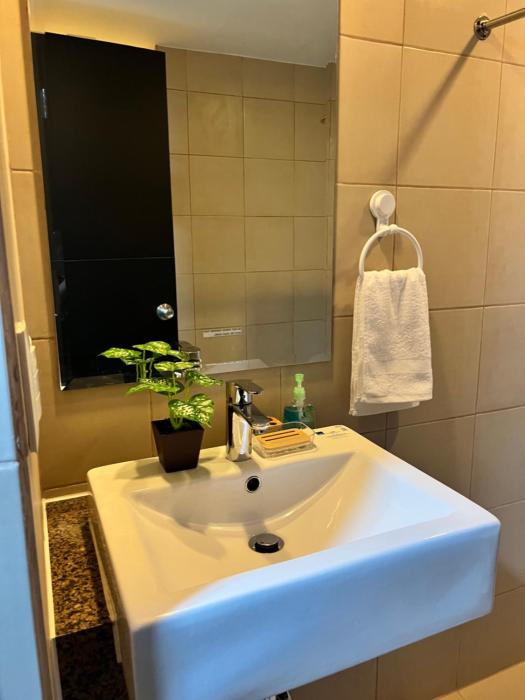 Brand New Studio w Washer in Manhattan Plaza Tower ll