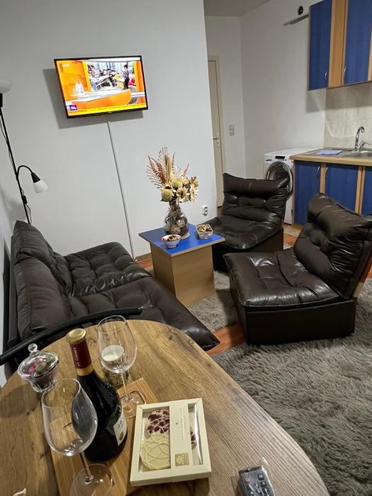 Apartment Dida Ledine