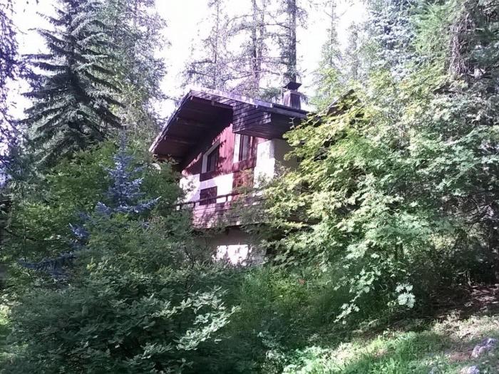 Chalet 11 pers., pied des pistes, cheminée, Les Orres - FR-1-322-581