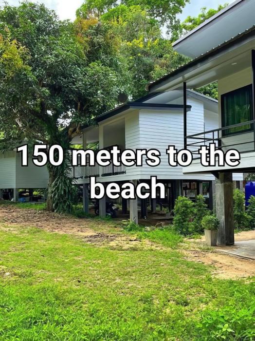 Haad Yao Wild by Secret Place