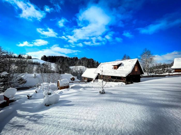 Traditional deer Cabin with Sauna - Chata Srňacie