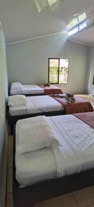 Cabinas Corcovado Green Parrot, Los Planes Drake