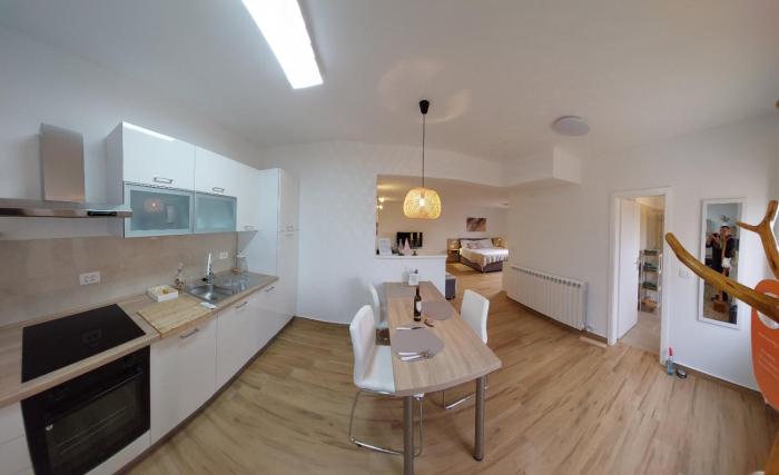 Studio Apartman Nika