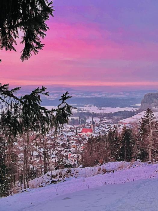 Ferienwohnung Almenrausch mit 110 m2 und sonniger Terrasse