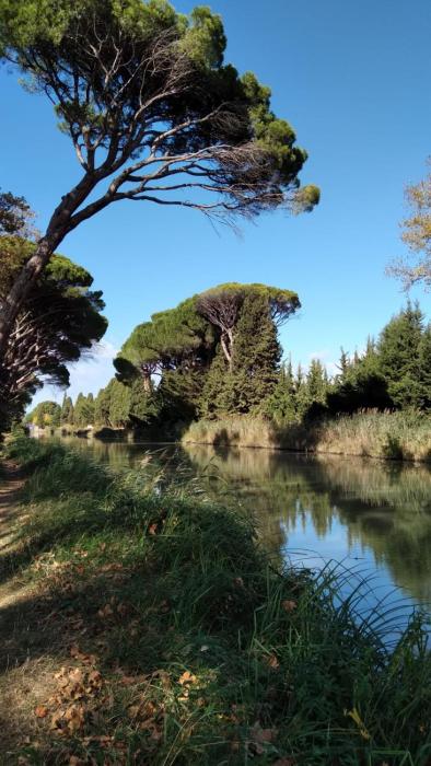 La promesse de l aude