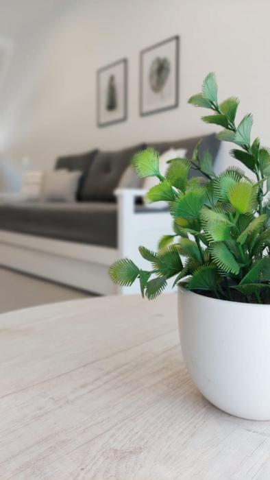 Departamentos del Trébol