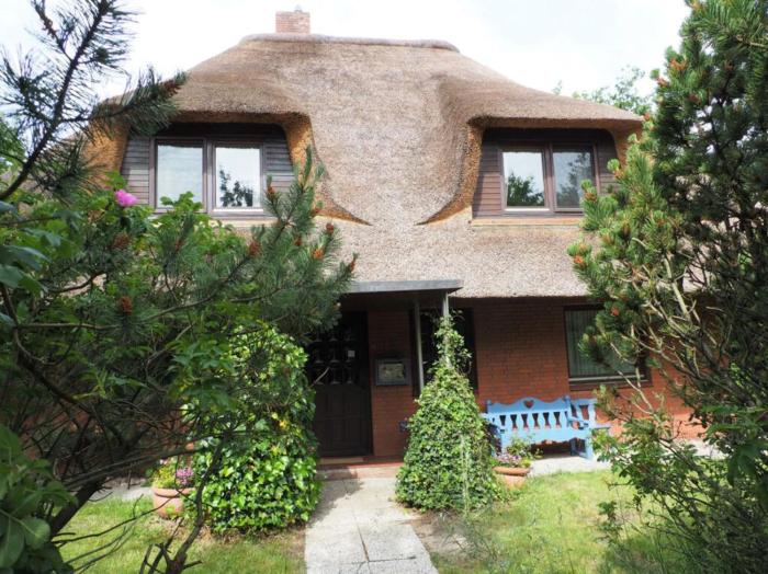 Hummergrund Seepferd