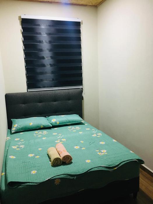 The Pines Home Stay