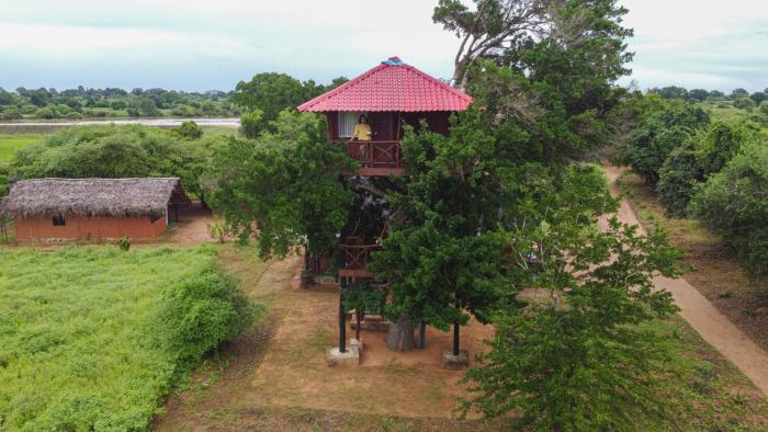 Animal View Point Yala