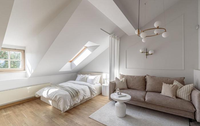 Traku street Apartment in Vilnius