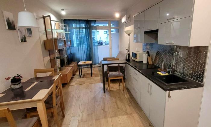 Apartament pod górą Szyndzielnia , Dębowiec