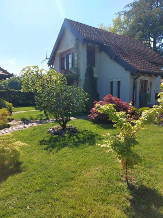 Kuca na Savi - Stari hrast