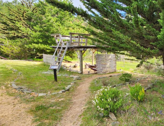 Olas de Chile Ecocamp