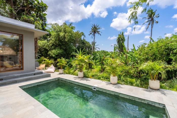 Victra Villa Jungle River view