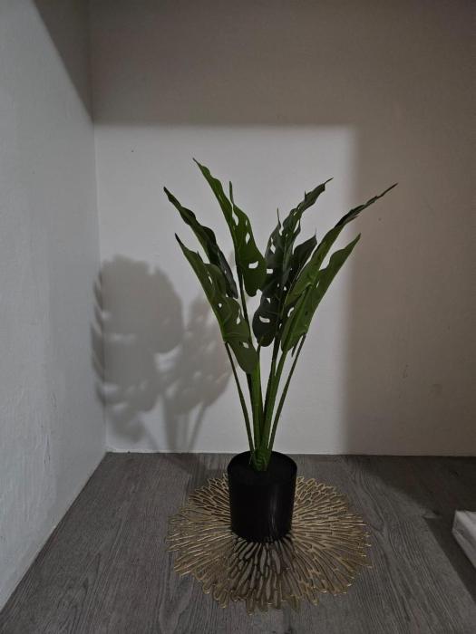 Dunrobyn Court Tempo Stay 8