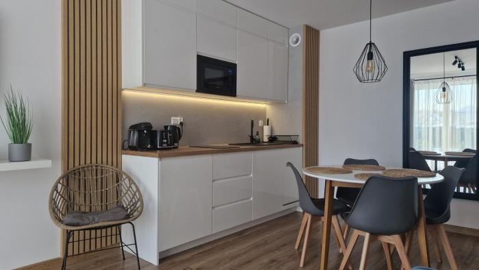 Apartament Loft