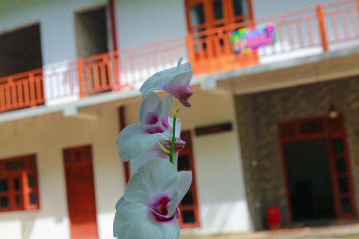 Yino Villa
